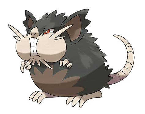 Alolan_Raticate_RGB_72dpi